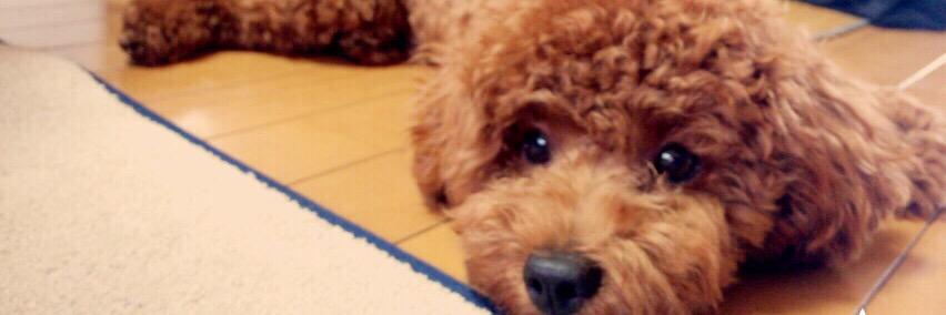 りゅーいち banner