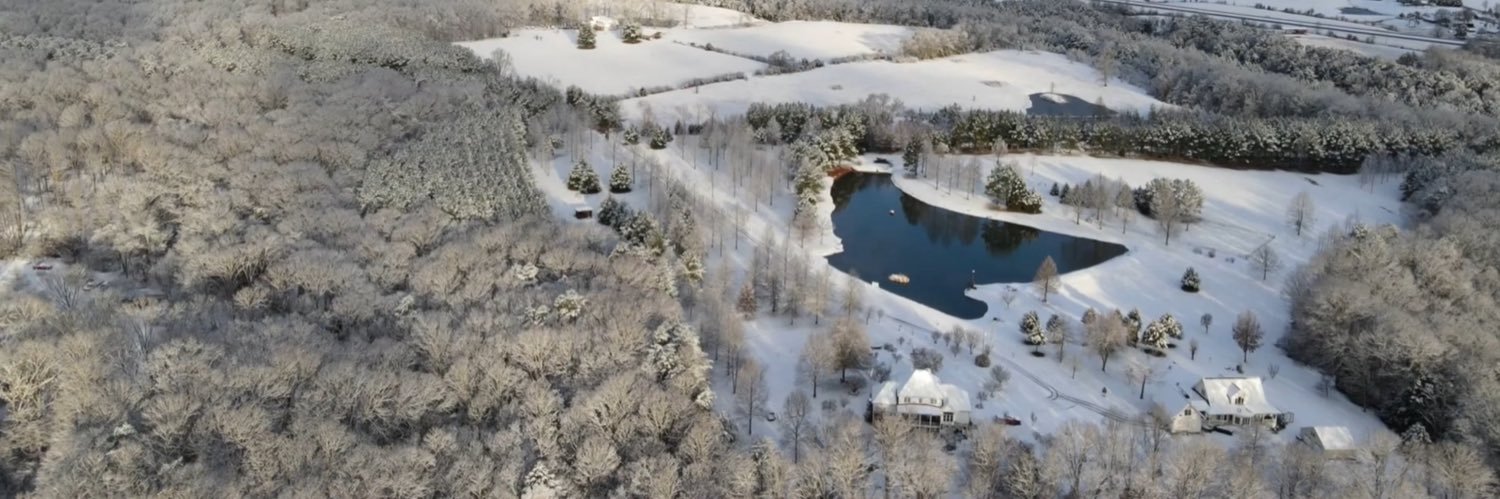 Mr. Skeptic 🧐 banner