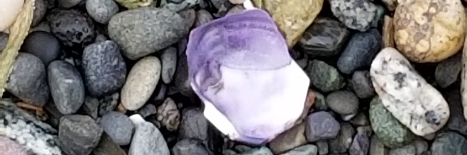 cindykorr's profile banner image