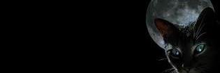 jacheluy's profile banner image