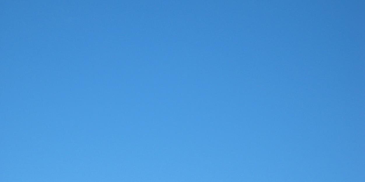 lara lebedinski banner