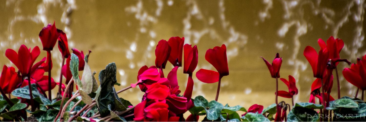 Tonius69's profile banner image