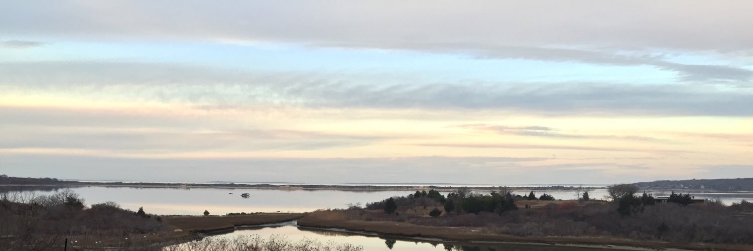 Stephanie Maximous, MD, MS banner