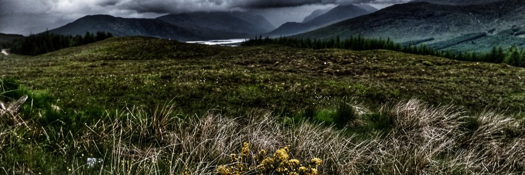 WanderlustPrima's profile banner image