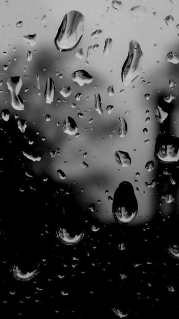 pemberontak82's profile banner image