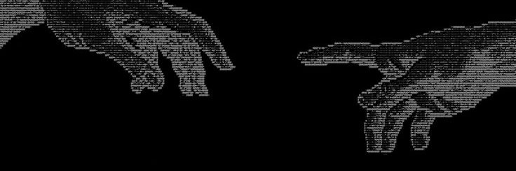 bashifeder's profile banner image