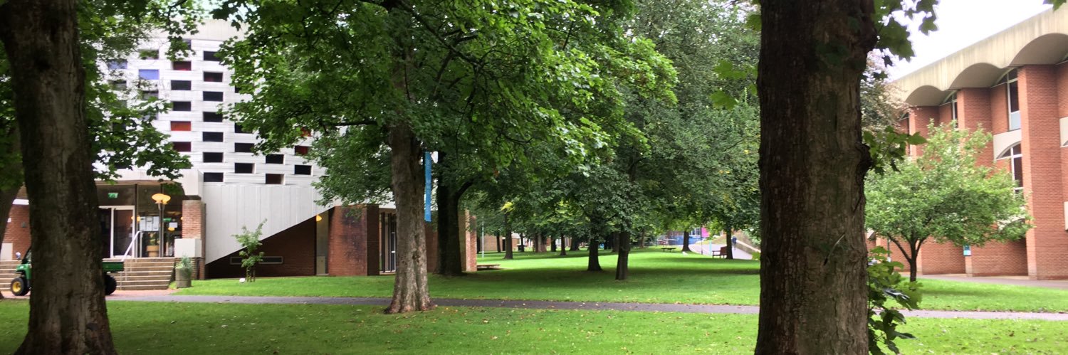 Virginia Mahieu banner