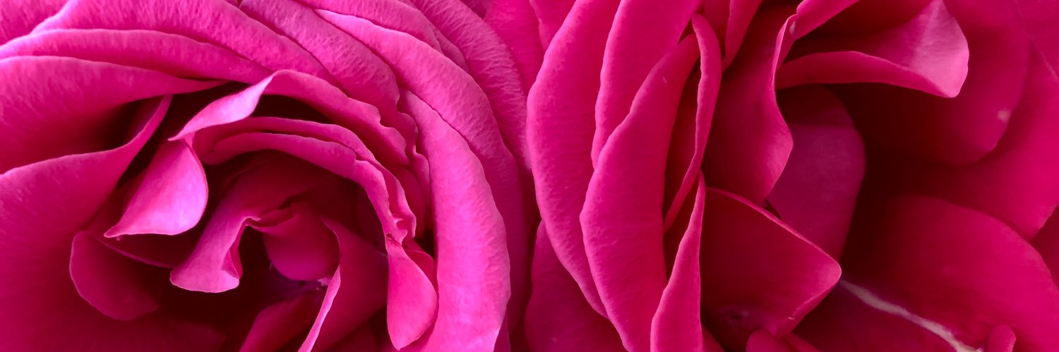 sparkly_badass's profile banner image