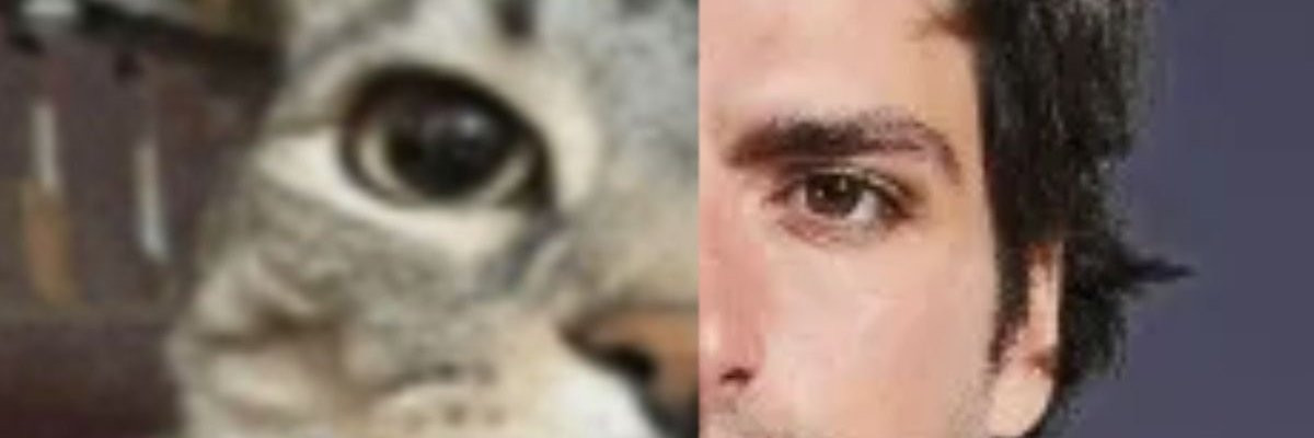 ☆.𖦹⋆ yukie banner