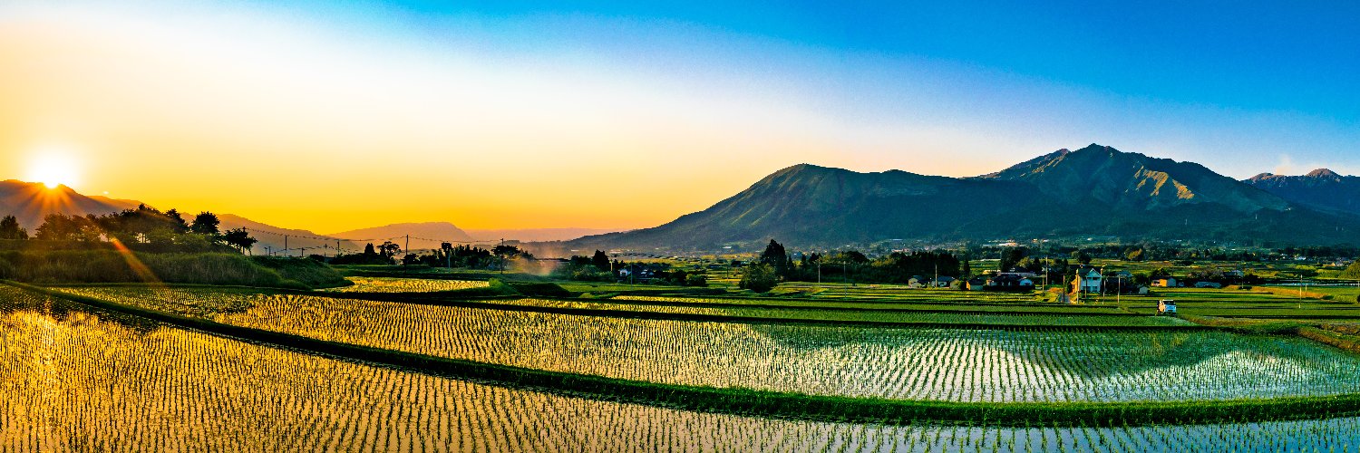 Ryotaro Yasui banner