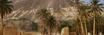 alsaeyl's profile banner image