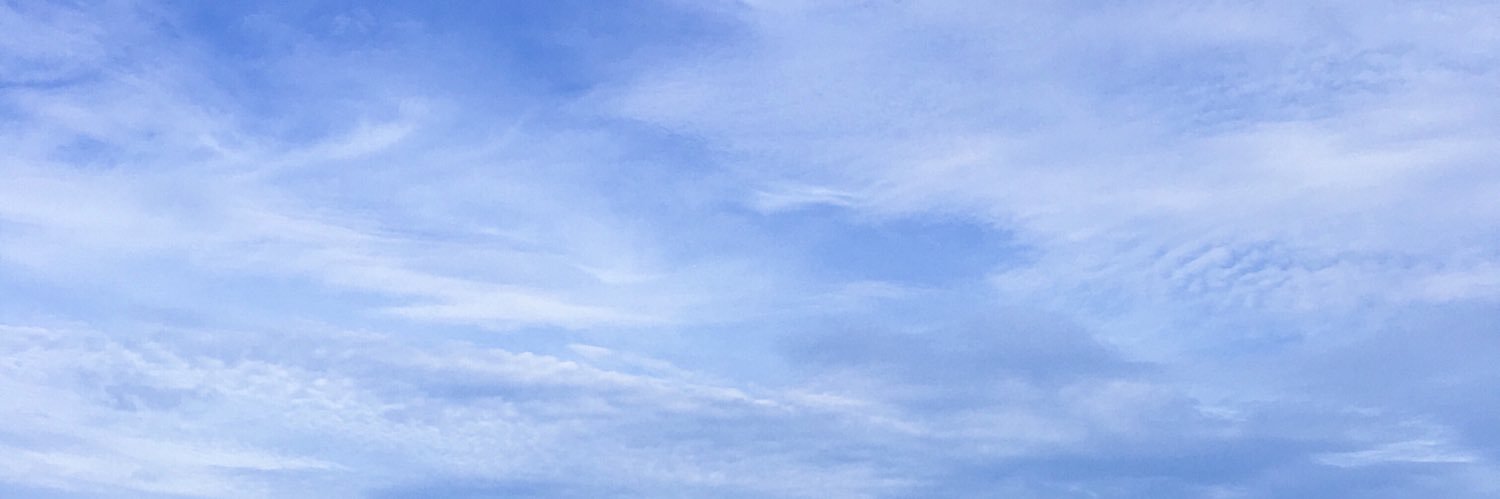 nerserry's profile banner image