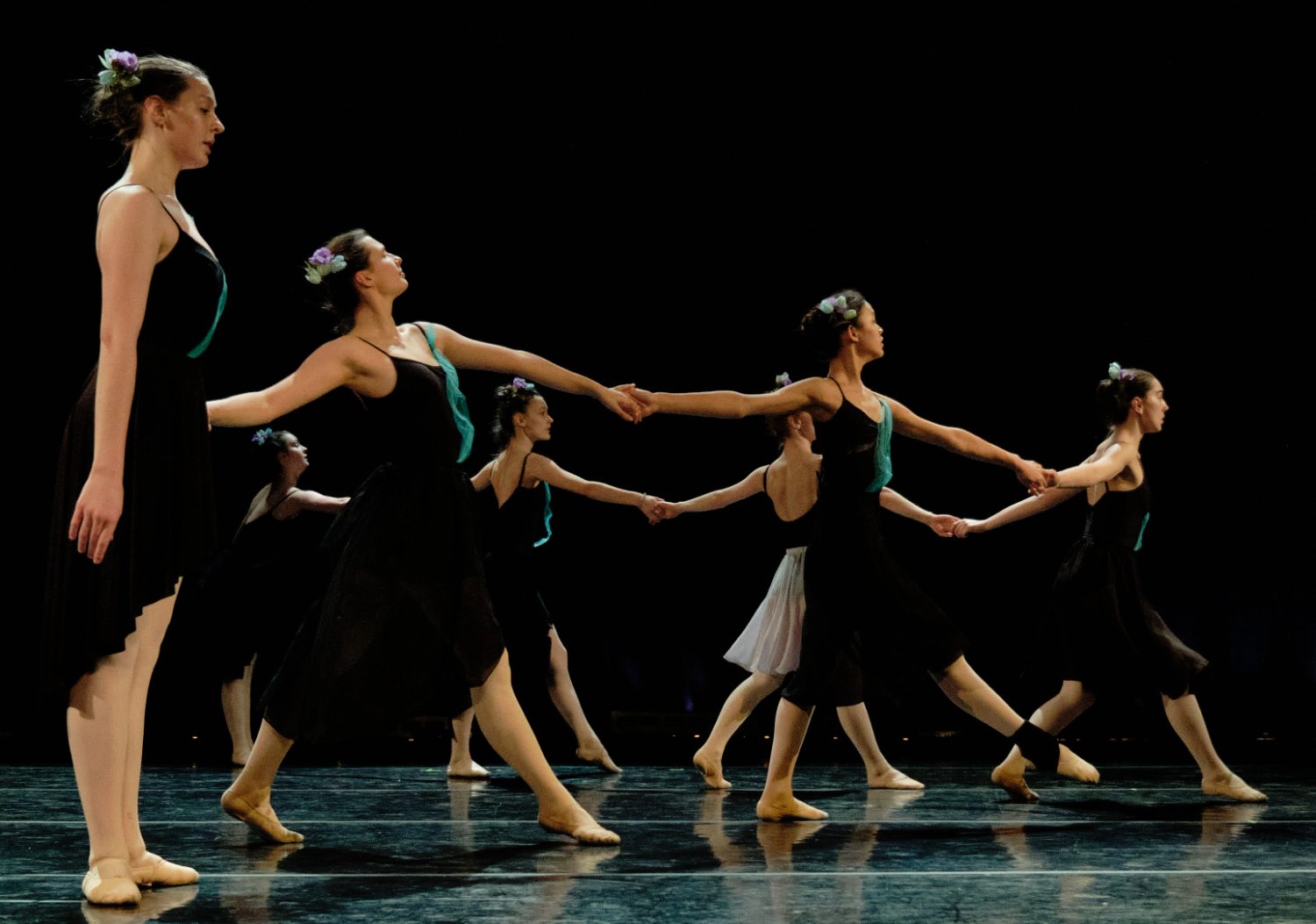 Ithaca Ballet banner