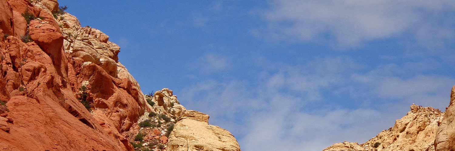 Digital Mosaics banner