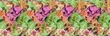 Marco de los Reyes banner