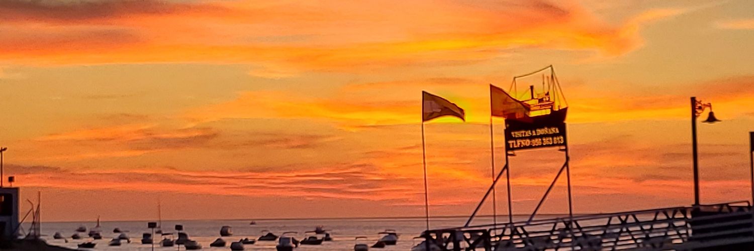 Elisa Barrientos banner