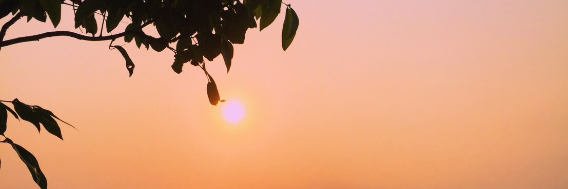 ditdawe's profile banner image