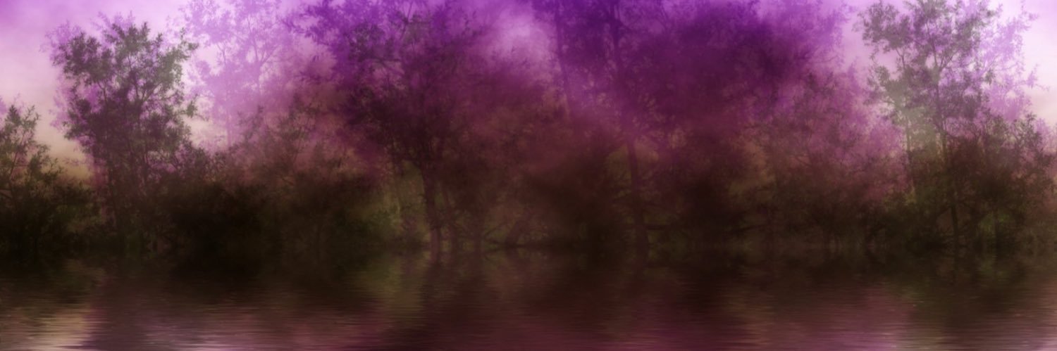 BereLago's profile banner image