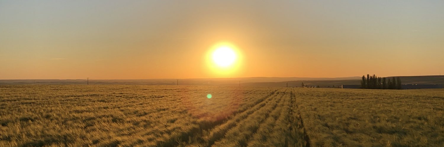 gonzocx's profile banner image