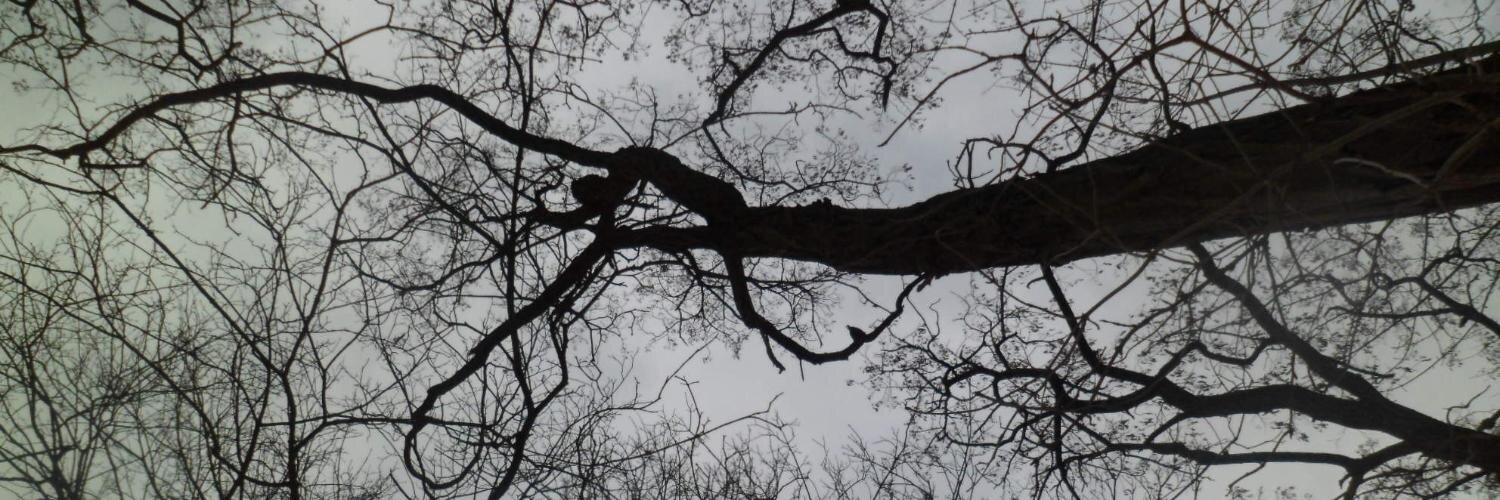 Dvalenyll's profile banner image