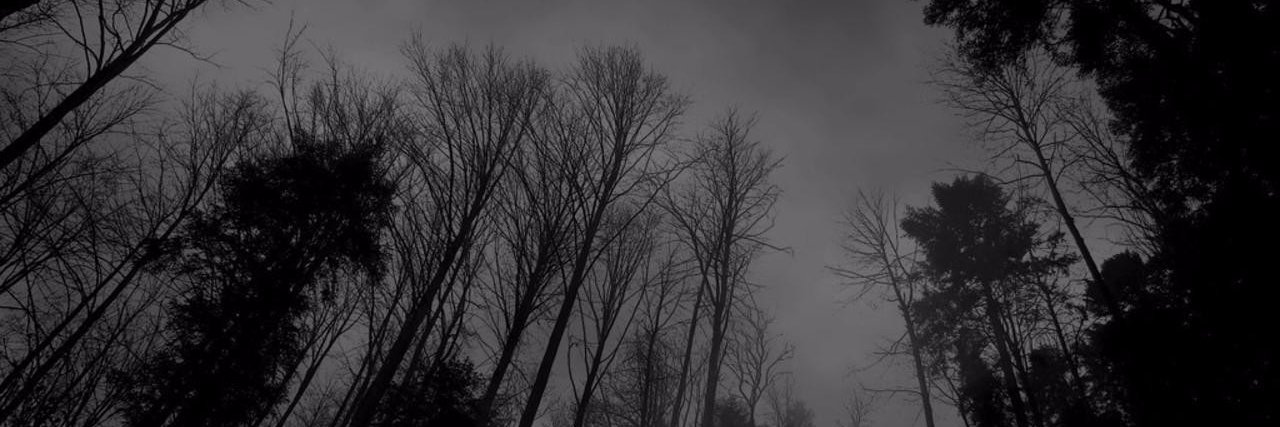 MelsaUnal's profile banner image