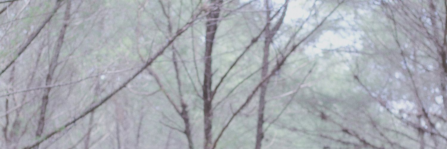 SyifaDevii's profile banner image