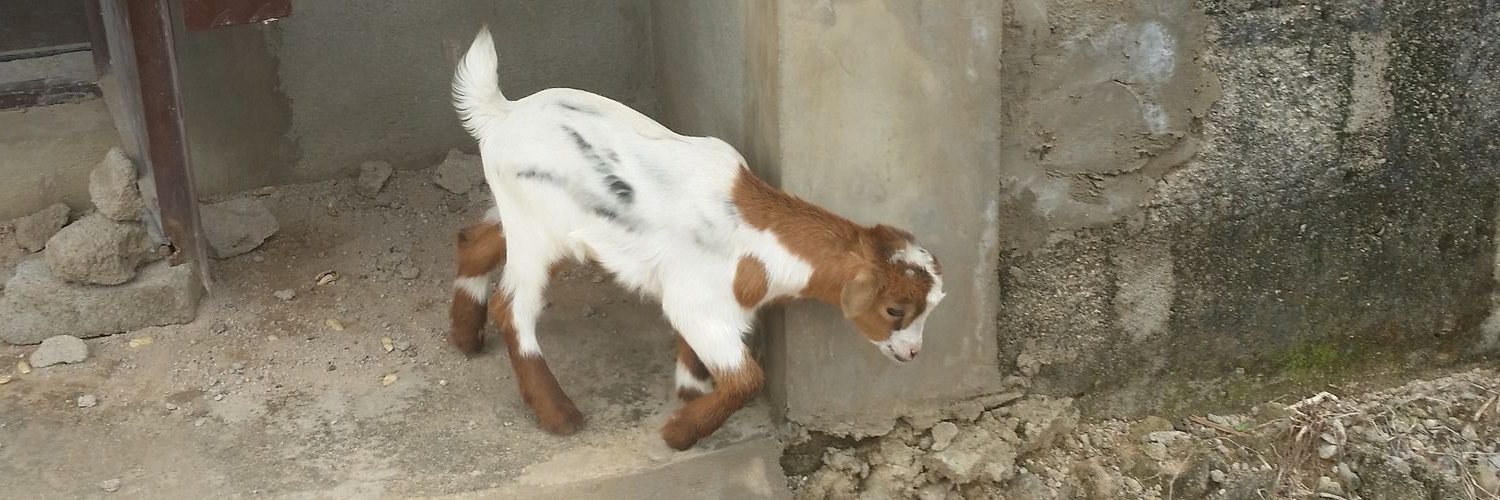 JacobMaxRoss's profile banner image