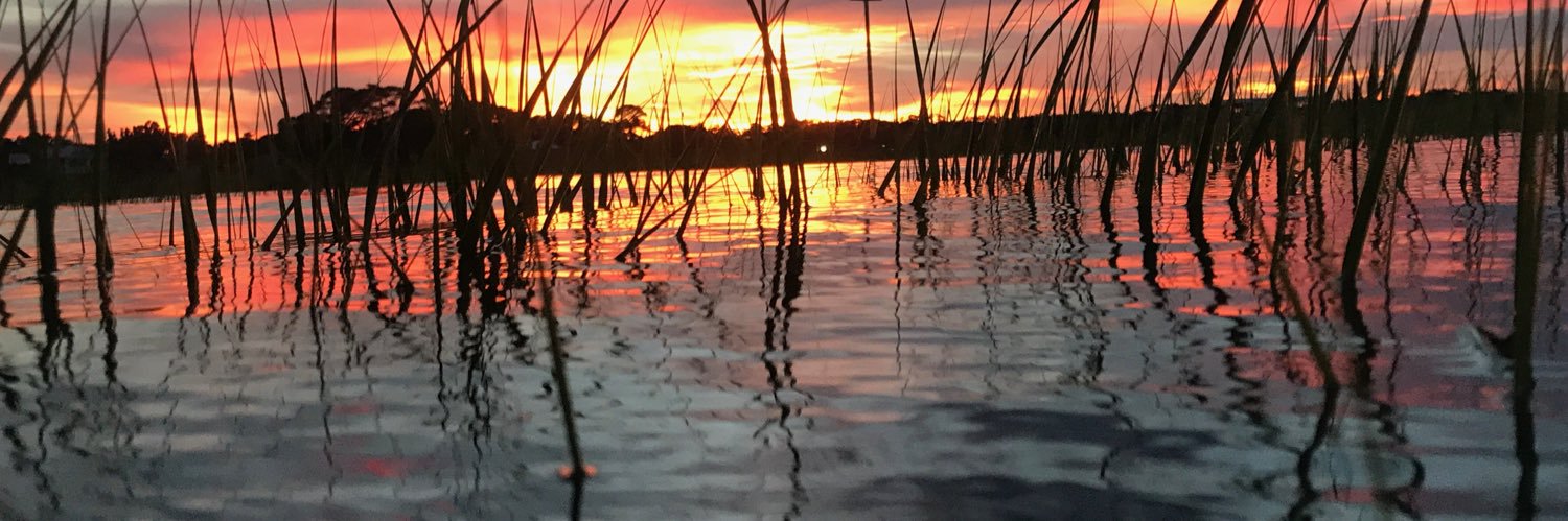Flaecotours's profile banner image