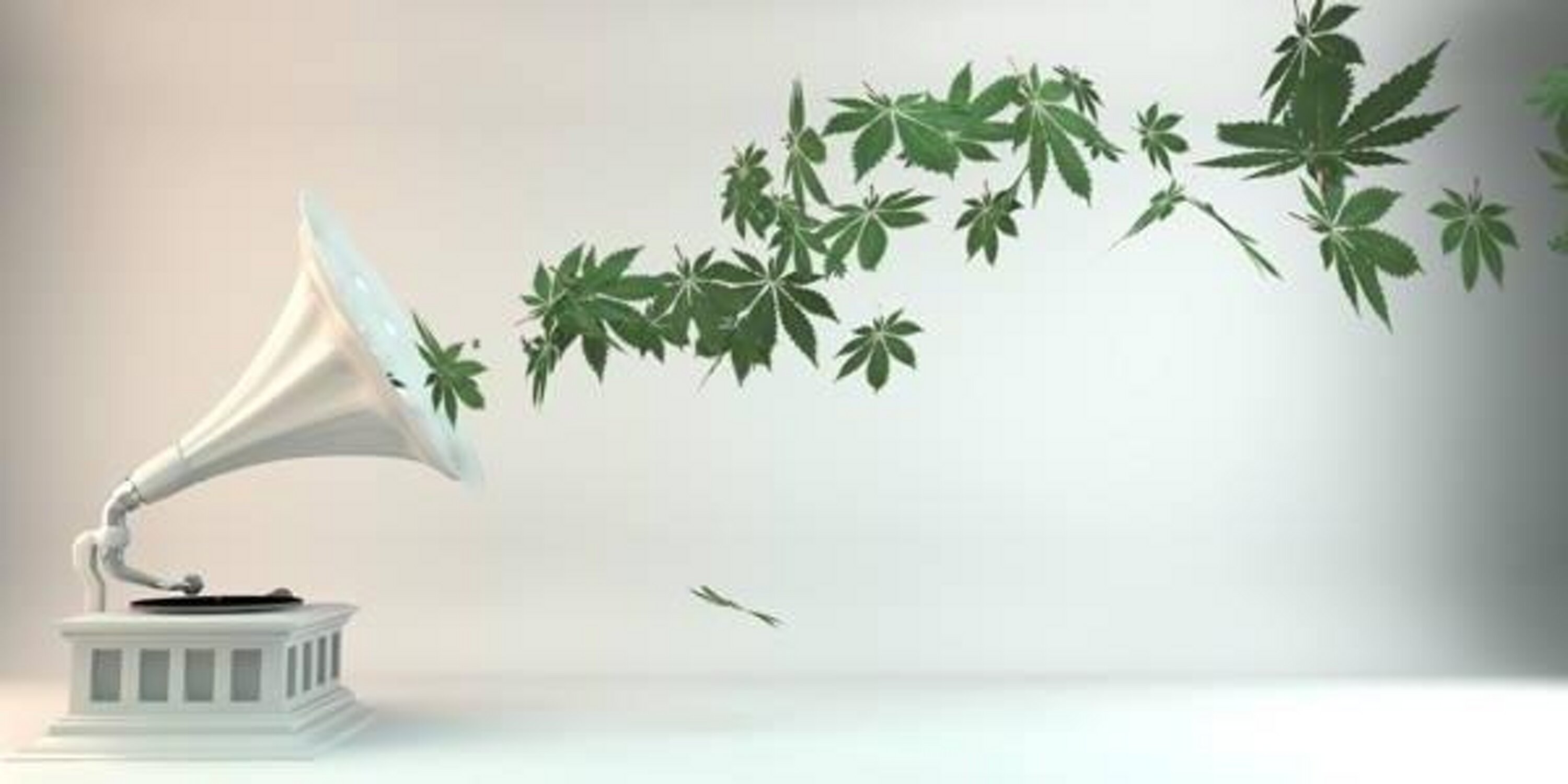 _Jrayyy's profile banner image