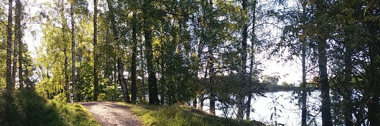 EssiKL's profile banner image