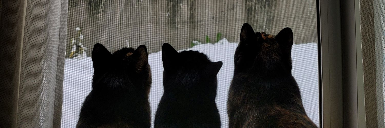 speakpan's profile banner image
