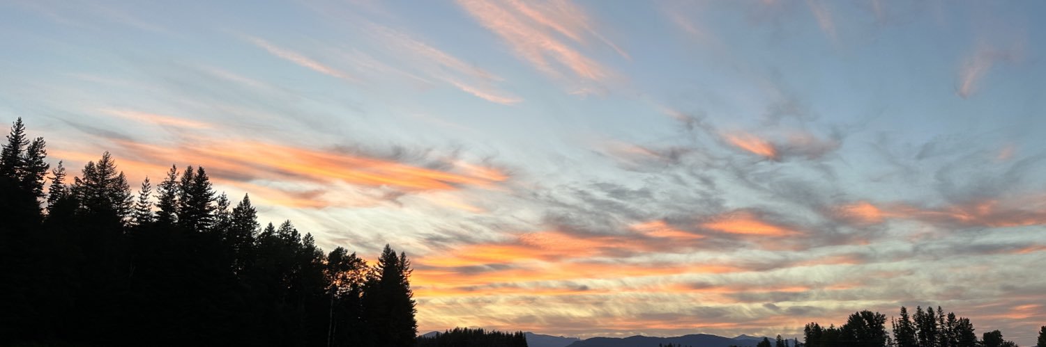 Red Cedar, CPAs banner