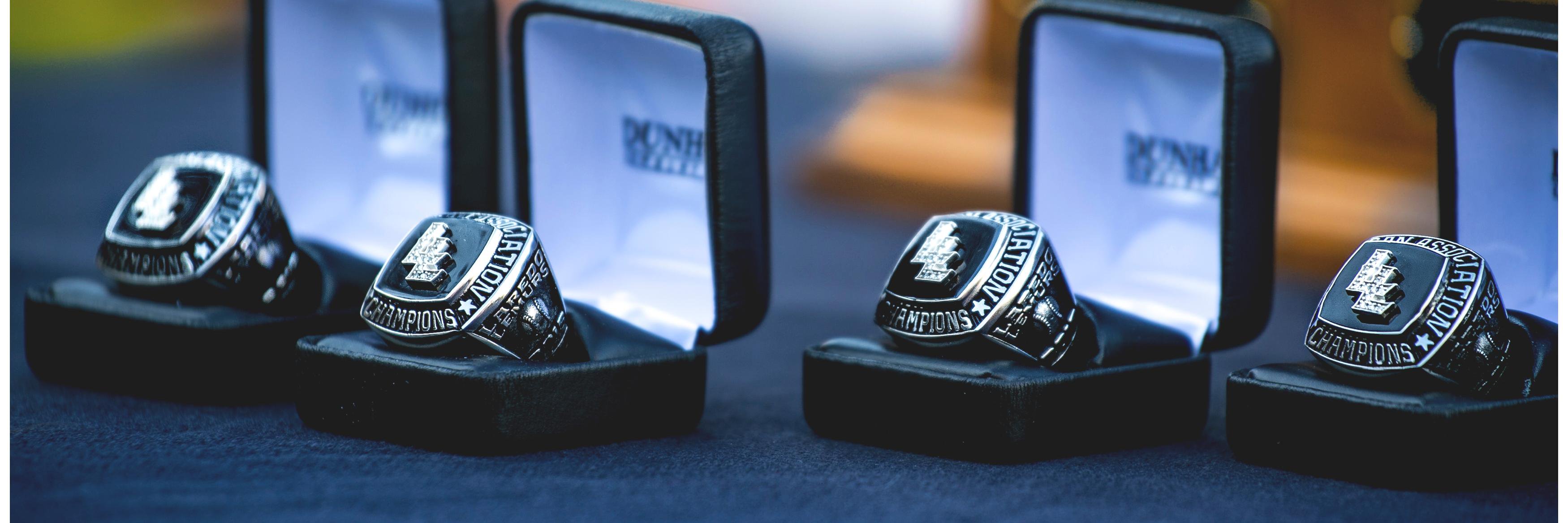 Laredo Lemurs banner