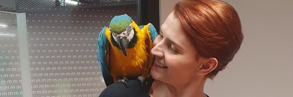 Bryony_Tebbutt Profile Banner