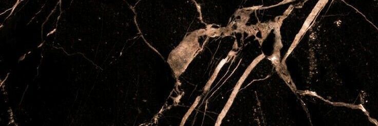 gracienna07's profile banner image
