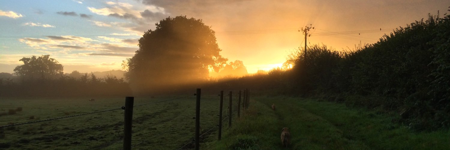 jess 😈💀✌🏻 banner