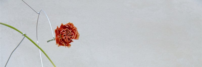 _sssicapuink's profile banner image