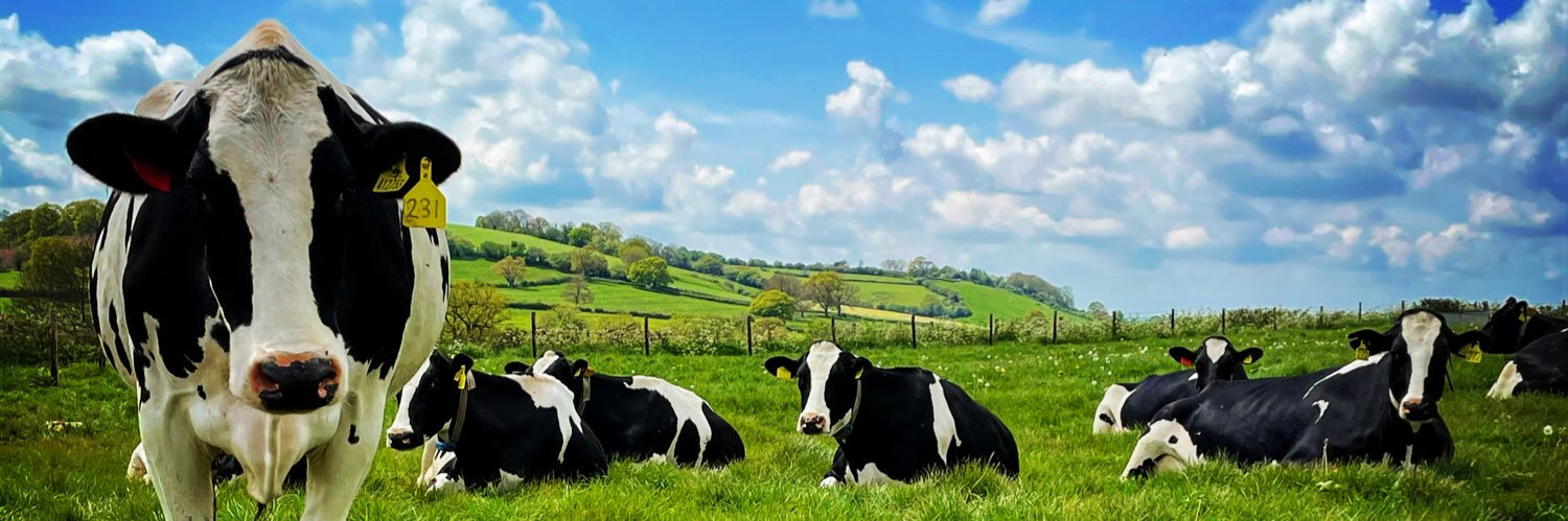 BarwickJames's profile banner image