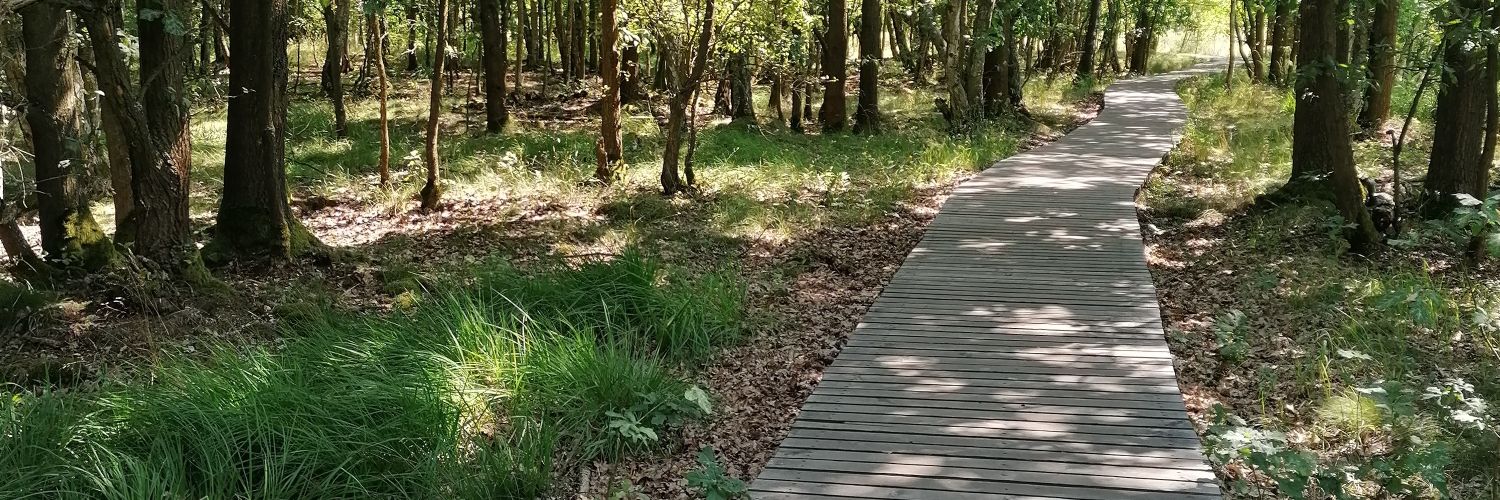 ™ 🙋🏻‍♂️🏳️‍🌈 banner