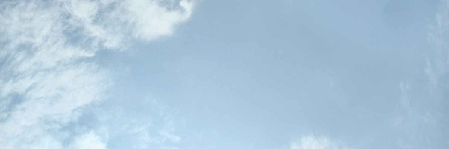 BemFiona's profile banner image