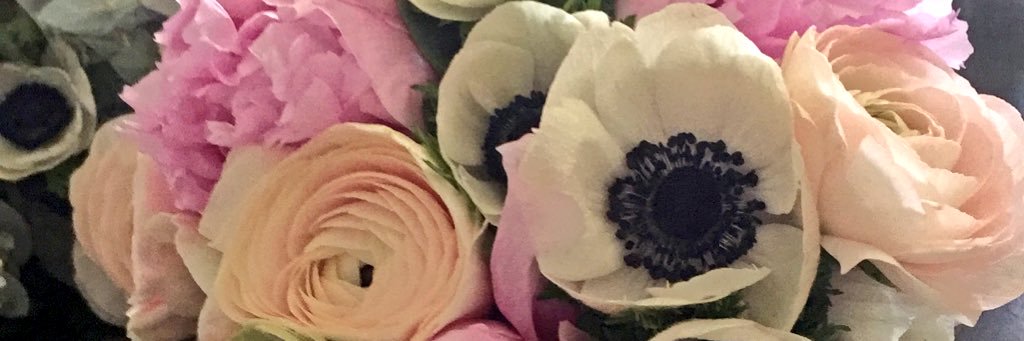 TatiSandyD's profile banner image