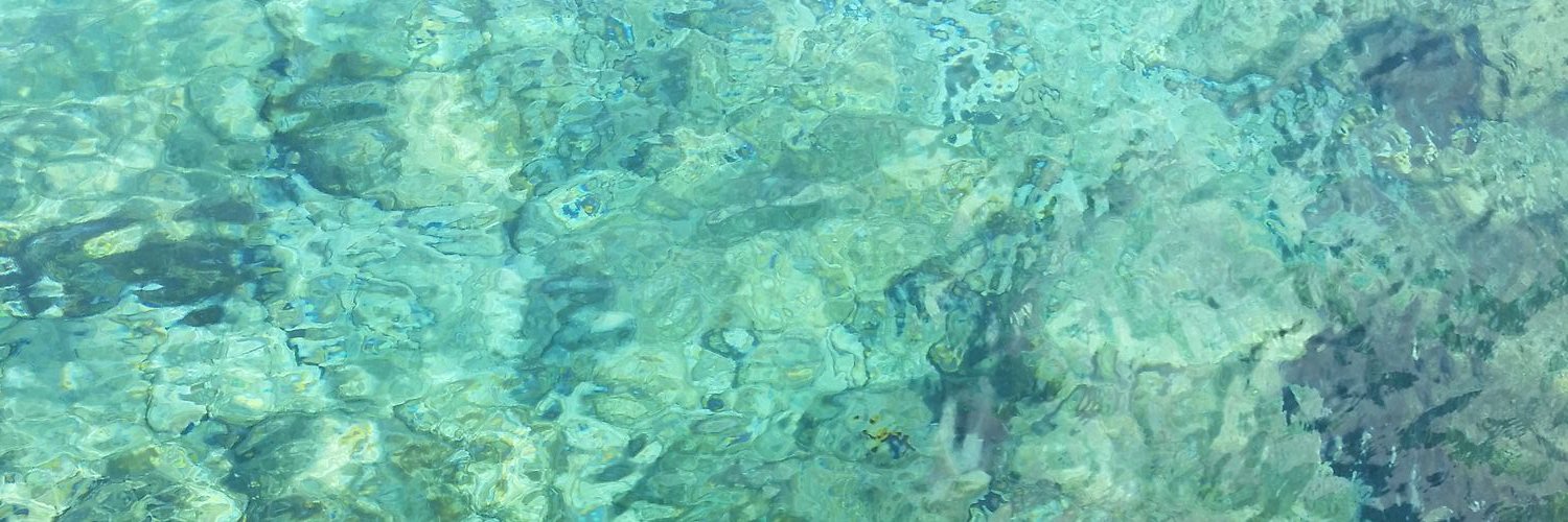 BaysDawn's profile banner image