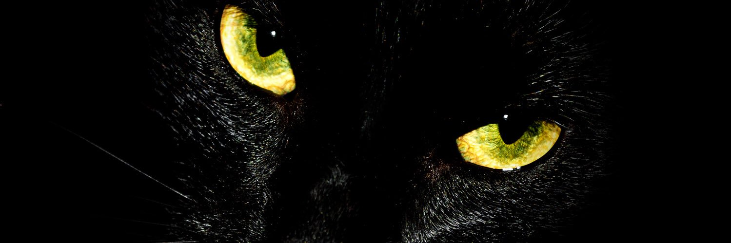 Leomarcox's profile banner image