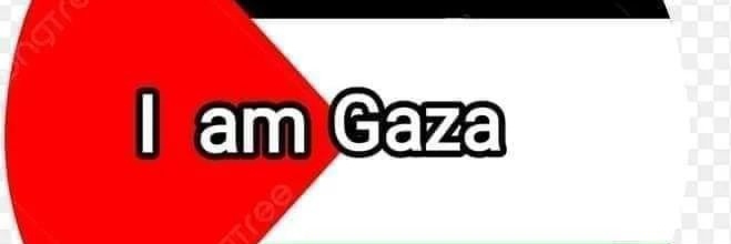 melimamolar🔻 banner