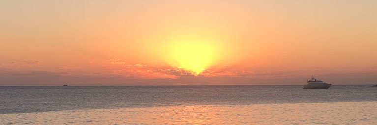 milliee_xox's profile banner image