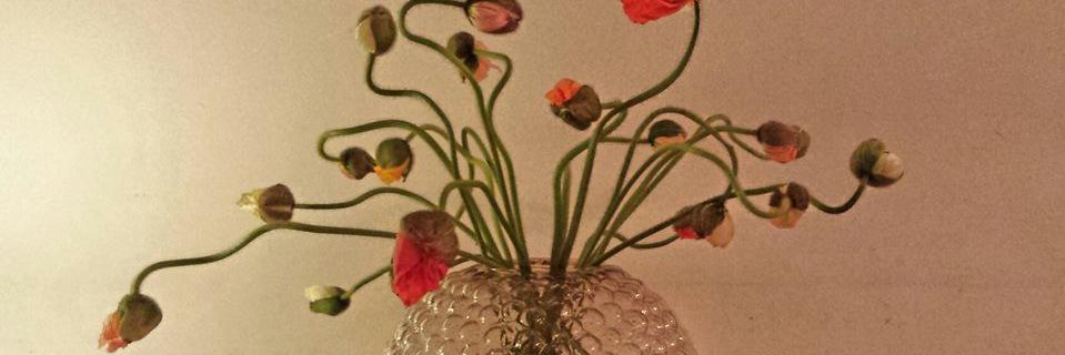 brilioth_m's profile banner image