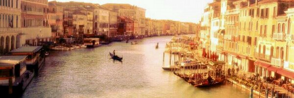 VisusLP Profile Banner