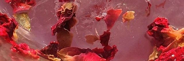 laurarubiosm's profile banner image