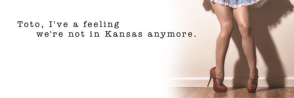 Collapsex929's profile banner image