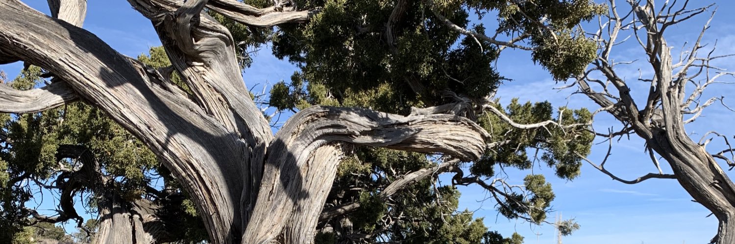 Melissa Rethlefsen banner